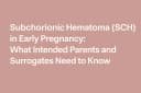 SCH Surrogacy