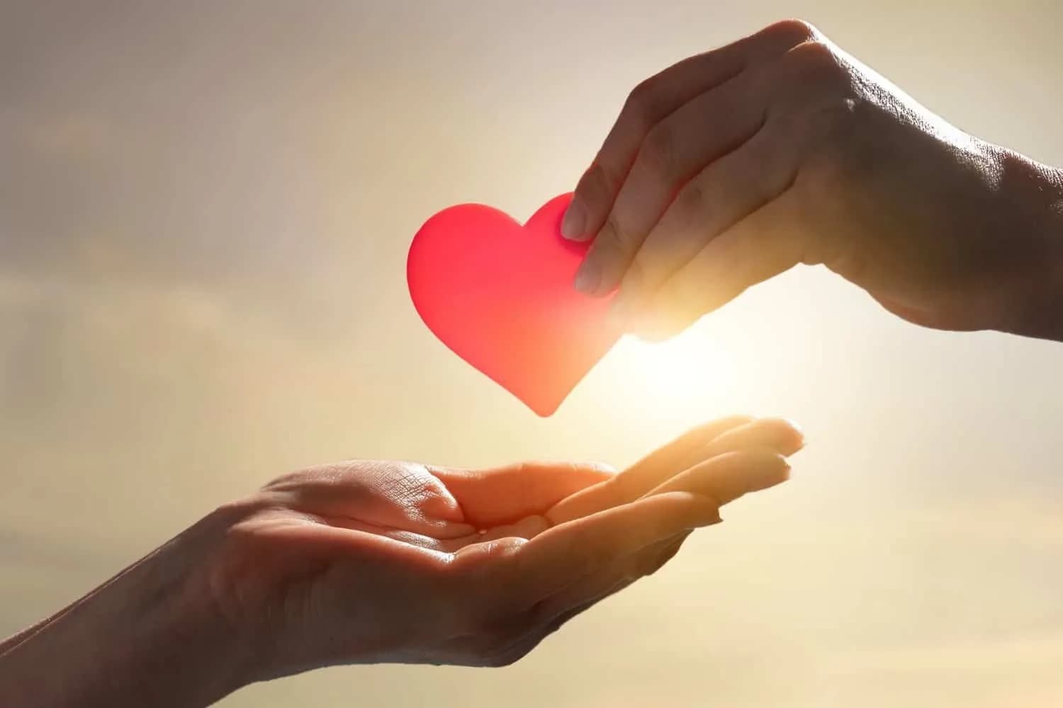 what happens to my donated eggs.jpg__1500x1000_q85_crop_subsampling 2